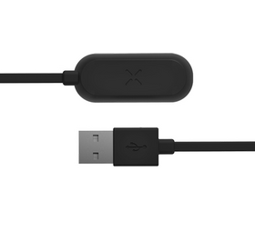 PAX - Mini Charger