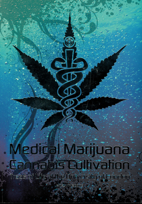 Medical Marijuana Cannabis Cultivation