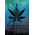 Medical Marijuana Cannabis Cultivation