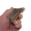 Jet Pal by Monkey Wooden Pipe